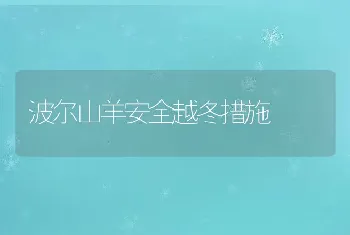 亲鳖咋选择