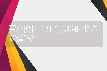 蛋鸡换料的几个关键时期你知道吗?