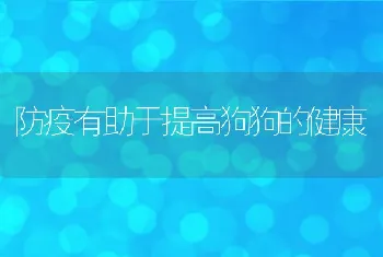 防疫有助于提高狗狗的健康