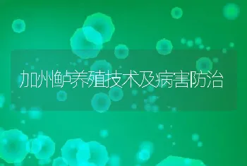 加州鲈养殖技术及病害防治