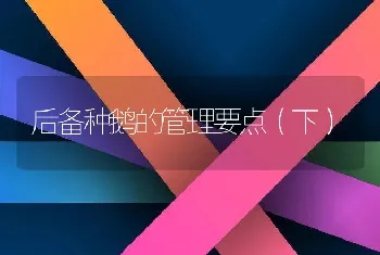 后备种鹅的管理要点（下）