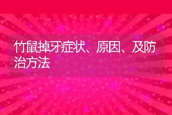 竹鼠掉牙症状、原因、及防治方法