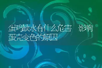 蛋鸡缺水有什么危害 影响蛋壳变色的原因