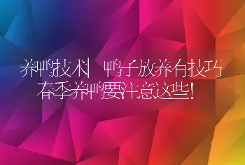 养鸭技术|鸭子放养有技巧 春季养鸭要注意这些！