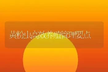 黄粉虫高效养殖管理要点