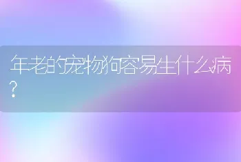 年老的宠物狗容易生什么病?