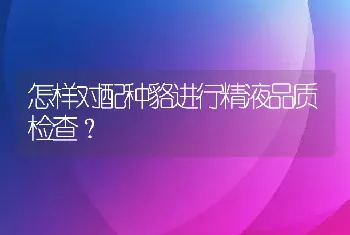 怎样对配种貉进行精液品质检查？