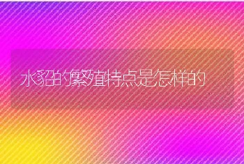 水貂的繁殖特点是怎样的