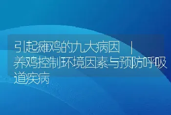 引起瘫鸡的九大病因_养鸡控制环境因素与预防呼吸道疾病