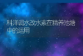 科洋调水改水素在精养池塘中的运用