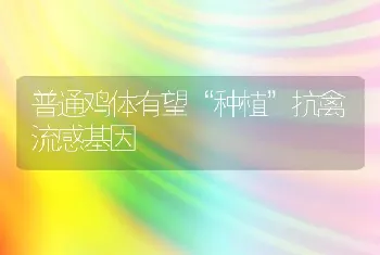 今冬明春鸭场重点流行病防控警示