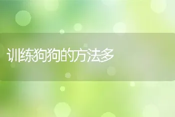 训练狗狗的方法多