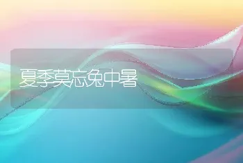 夏季莫忘兔中暑