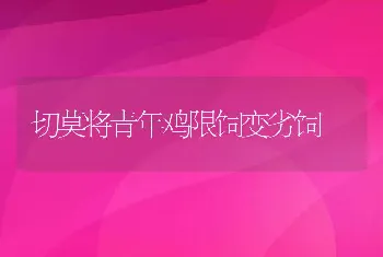 切莫将青年鸡限饲变劣饲