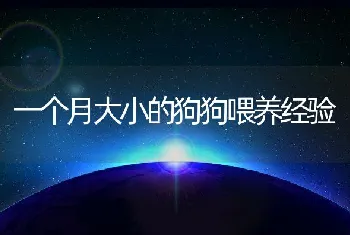 一个月大小的狗狗喂养经验