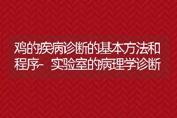 鸡的疾病诊断的基本方法和程序-实验室的病理学诊断