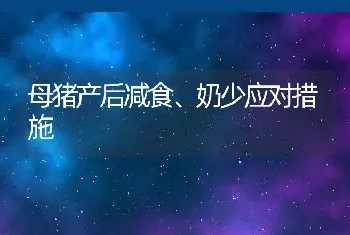 母猪产后减食、奶少应对措施