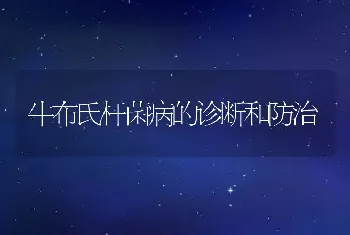 牛布氏杆菌病的诊断和防治