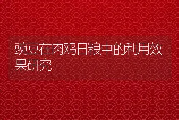 豌豆在肉鸡日粮中的利用效果研究