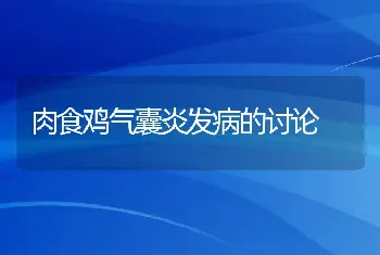 肉食鸡气囊炎发病的讨论