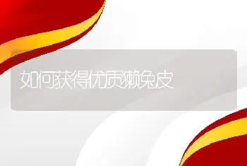 如何获得优质獭兔皮