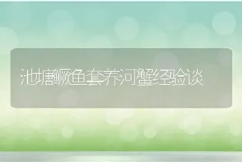 池塘鳜鱼套养河蟹经验谈