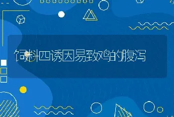 饲料四诱因易致鸡的腹泻