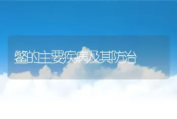 鳖的主要疾病及其防治