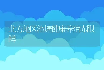 北方地区池塘健康养殖赤眼鳟