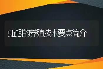 蚯蚓的养殖技术要点简介