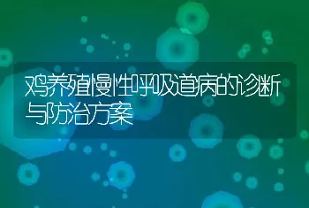 鸡养殖慢性呼吸道病的诊断与防治方案