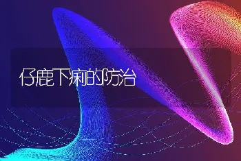 仔鹿下痢的防治