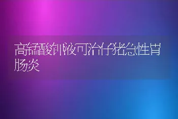 高锰酸钾液可治仔猪急性胃肠炎