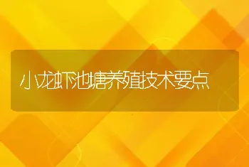 小龙虾池塘养殖技术要点