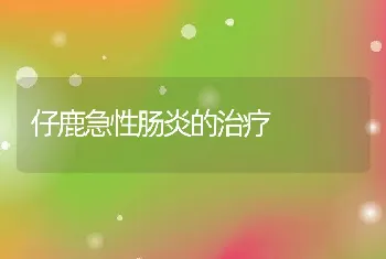 仔鹿急性肠炎的治疗