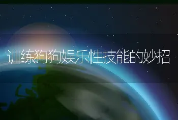 训练狗狗娱乐性技能的妙招