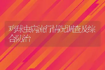 鸡球虫病流行情况调查及综合防治