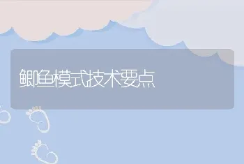 鲫鱼模式技术要点