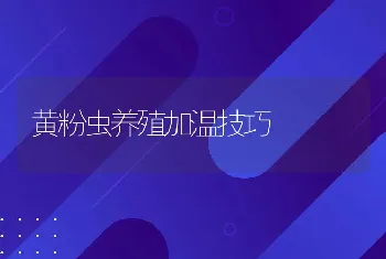 黄粉虫养殖加温技巧