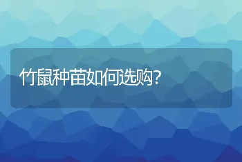 竹鼠种苗如何选购？