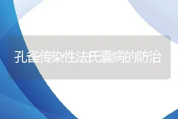 孔雀传染性法氏囊病的防治