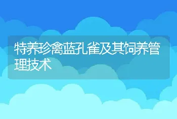 特养珍禽蓝孔雀及其饲养管理技术