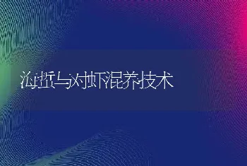 海蜇与对虾混养技术