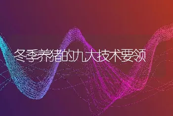 蛋鸭科学饲养与疾病综合防治技术