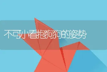 不可小看抱狗狗的姿势