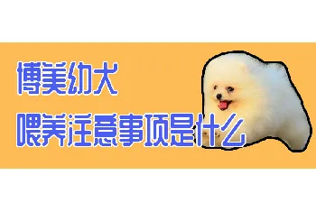 博美幼犬喂养注意事项是什么