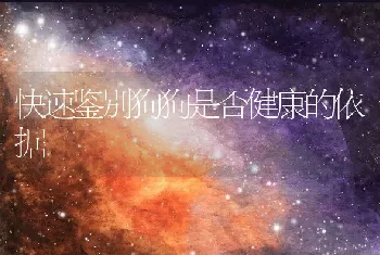 快速鉴别狗狗是否健康的依据