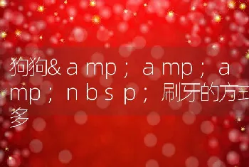 狗狗amp;amp;刷牙的方式多