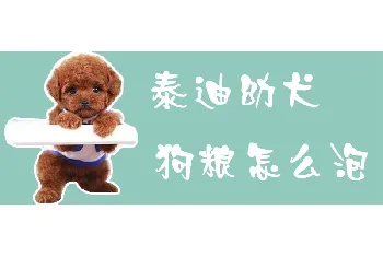 泰迪幼犬狗粮怎么泡