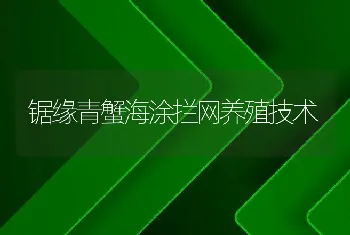 锯缘青蟹海涂拦网养殖技术